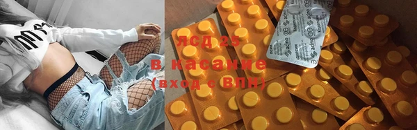 ПСИЛОЦИБИНОВЫЕ ГРИБЫ Осташков
