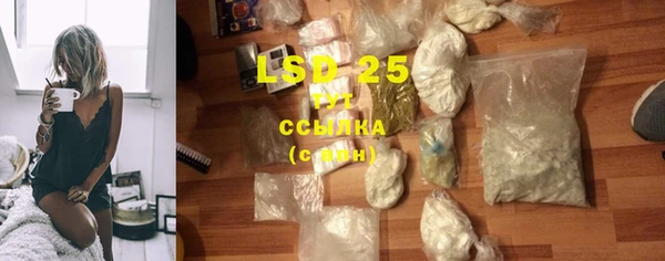 ПСИЛОЦИБИНОВЫЕ ГРИБЫ Осташков