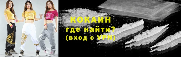 шишки Остров