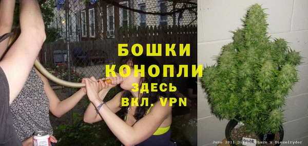 шишки Остров