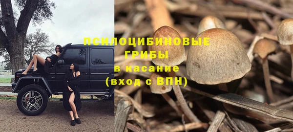 ПСИЛОЦИБИНОВЫЕ ГРИБЫ Осташков