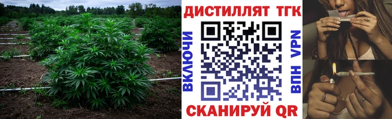 Дистиллят ТГК концентрат  Купить  Мамоново 