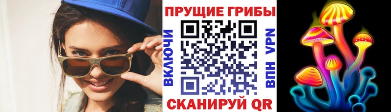 Псилоцибиновые грибы Psilocybine cubensis  Купить  Мамоново 