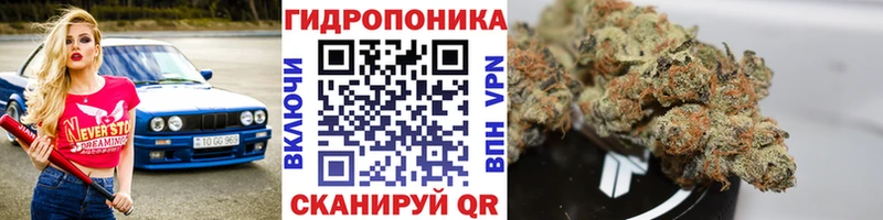 Купить где  Мамоново  Марихуана AK-47 